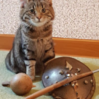 en katt med en vikinghjälm och en yxa